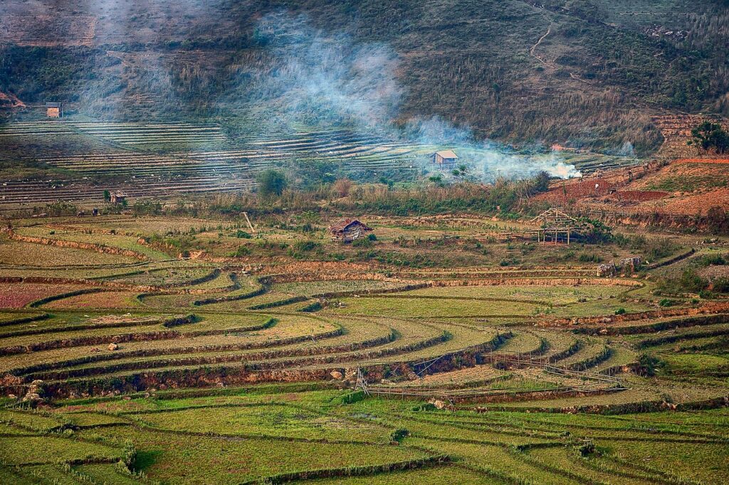 当帰芍薬散のPMSに対する効果はどれくらい？