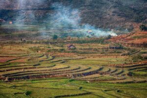 当帰芍薬散のPMSに対する効果はどれくらい？