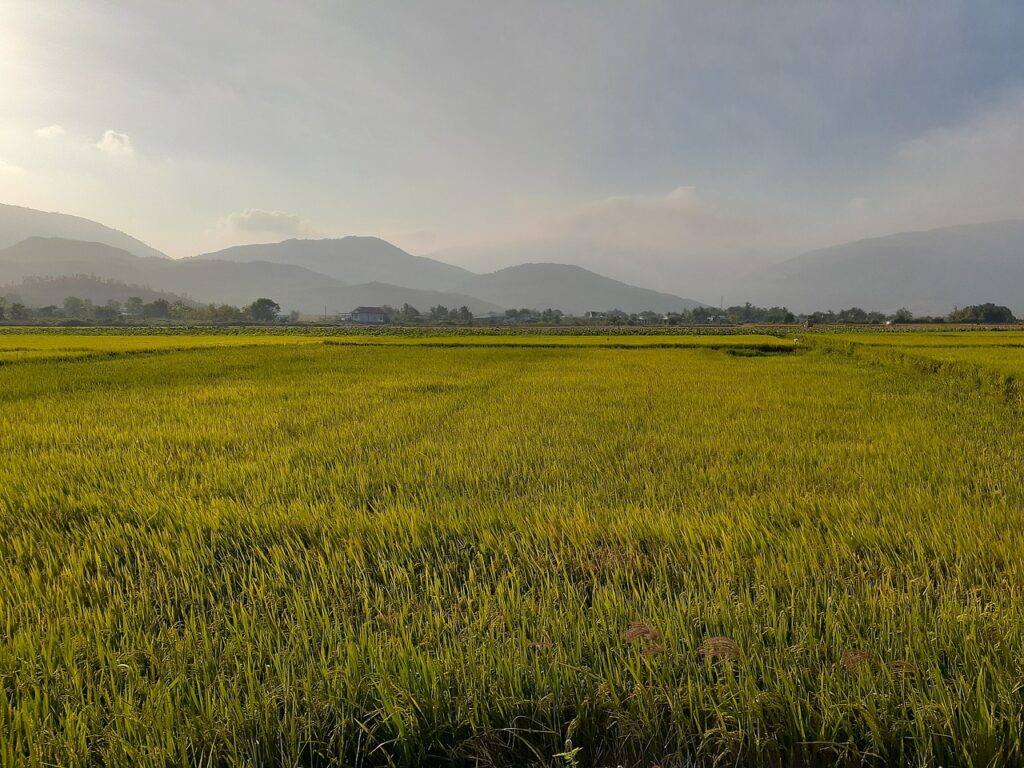 当帰芍薬散はPMSにどのような効果があるのか？