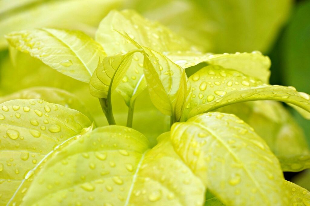 LGBTQフレンドリーな婦人科オンライン診療のメリットとは？