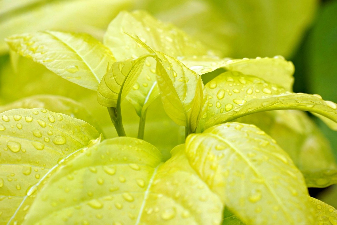 LGBTQフレンドリーな婦人科オンライン診療のメリットとは？