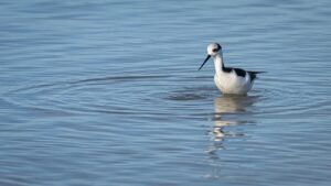 子宮内膜症の疑いがある方のためのオンライン相談はどこで受けられる？