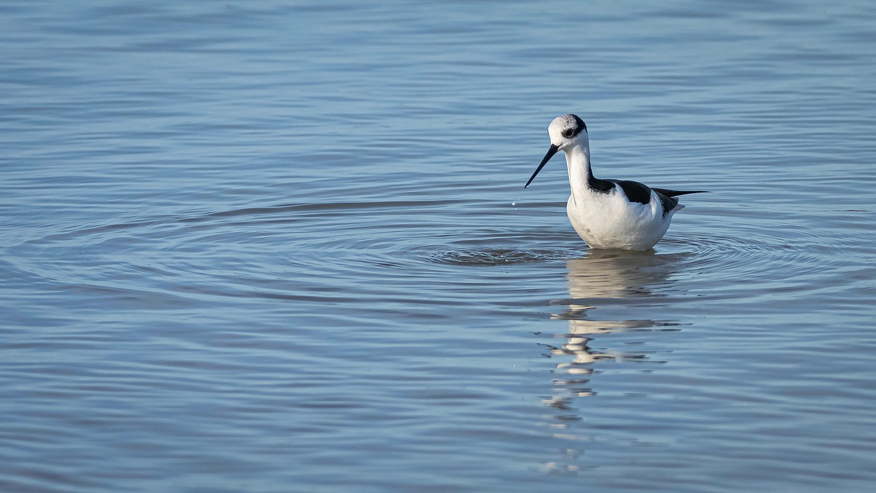 子宮内膜症の疑いがある方のためのオンライン相談はどこで受けられる？