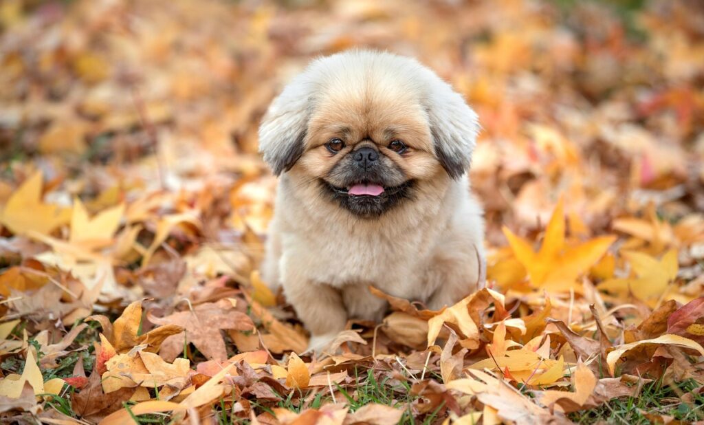 漢方で更年期のイライラを和らげる方法は？