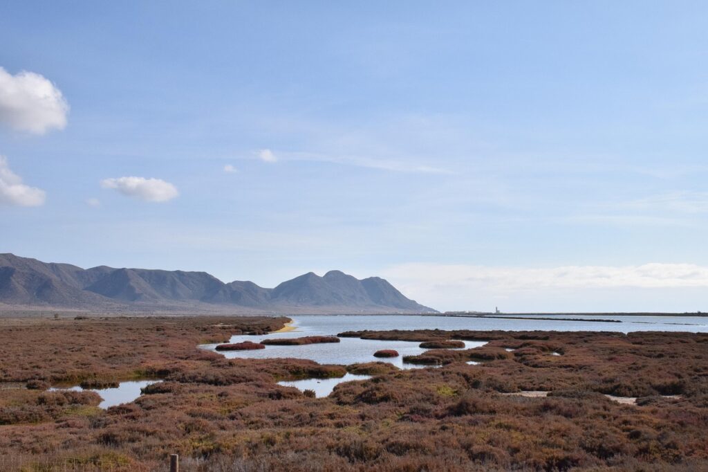 生理不順のオンライン診断で知るべきことは？