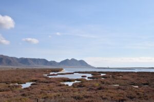 生理不順のオンライン診断で知るべきことは？