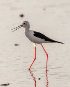 生理痛を和らげるための効果的なストレッチは？