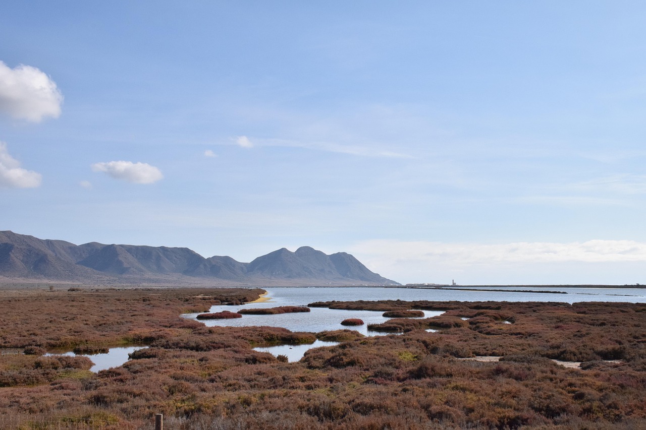 生理不順の悩みをオンライン相談で解決する方法は？