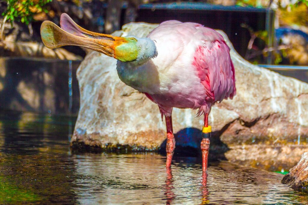 おりものの異常について女医に相談する際のポイントは？