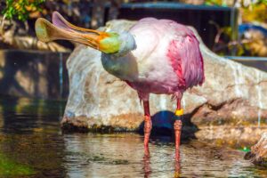 おりものの異常について女医に相談する際のポイントは？