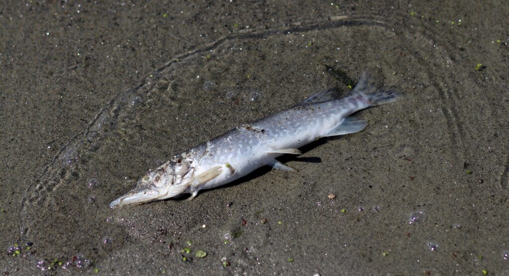 ピルの副作用について女医に相談するべきポイントは？