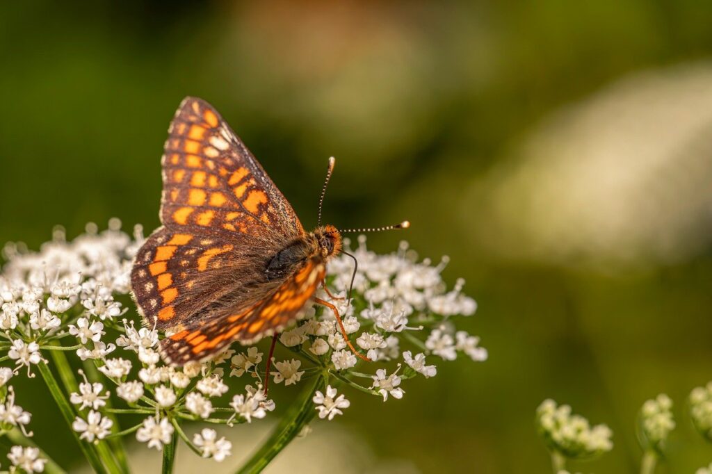 デリケートな悩みを匿名で相談できる場所はどこ？