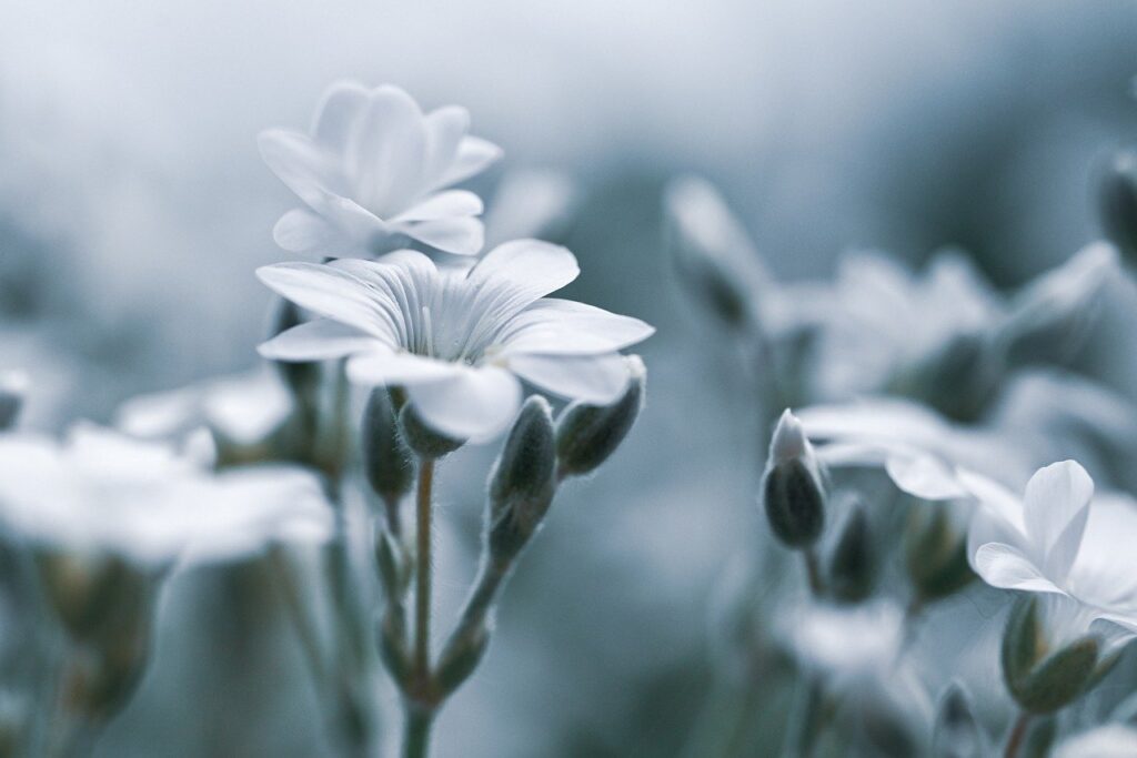 デリケートゾーンの悩みを女医に相談する方法は？