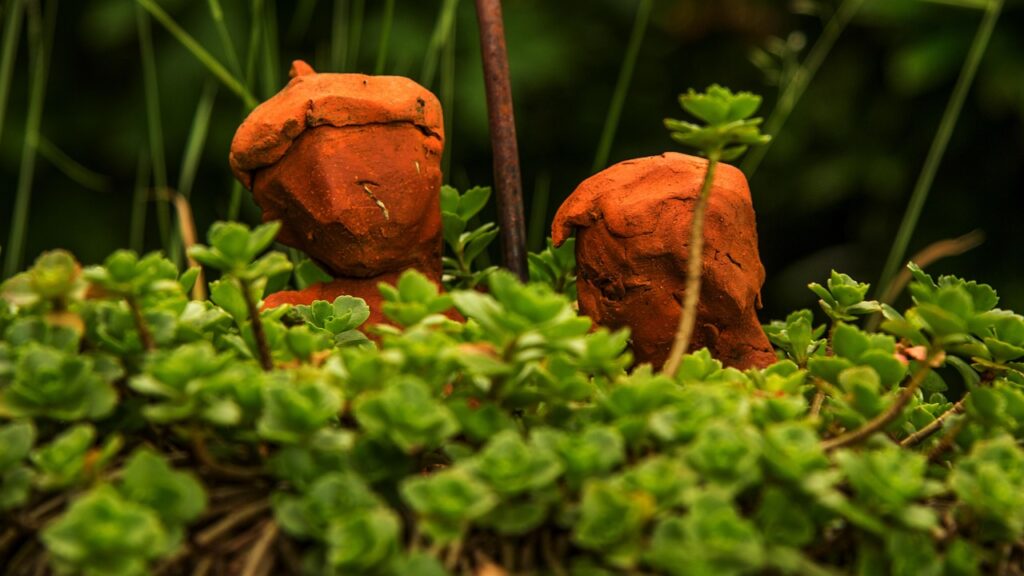 不妊治療前に知っておくべき相談内容とは？