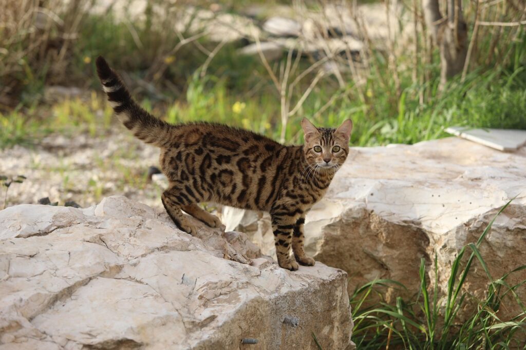 失敗しない選び方のポイントは何ですか？