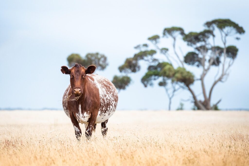 妊娠してるか相談したいときに知っておくべきことは？