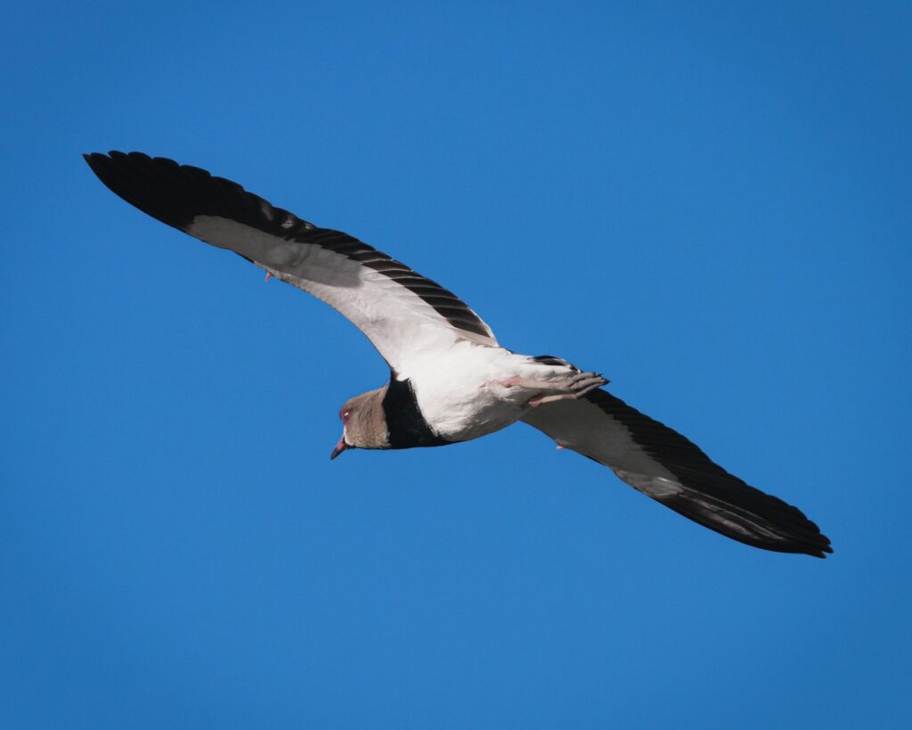 子宮筋腫に関する相談はどこでできる？