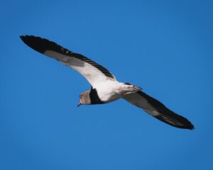 子宮筋腫に関する相談はどこでできる？