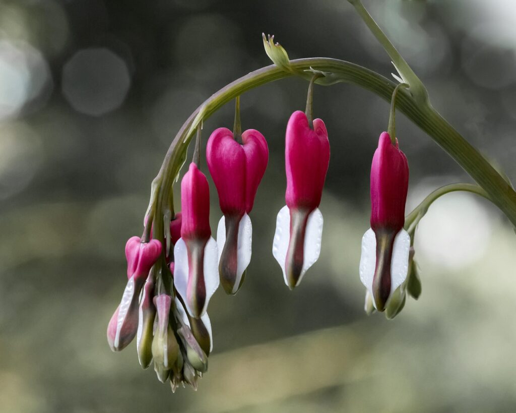 スマホ婦人科で性交後出血が続く場合の受診目安はオンライン女医に相談すべき？