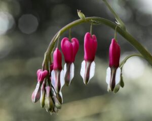 スマホ婦人科で性交後出血が続く場合の受診目安はオンライン女医に相談すべき？