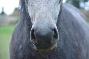パートナーにバレずに性病検査をしたい時の検査キットはどれがいい？