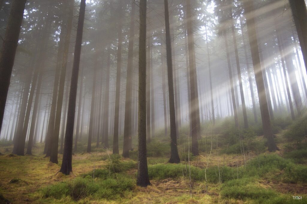 性器ヘルペスの相談は女医にオンラインで行うべき？